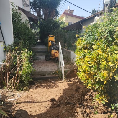 שביל עם צמחייה וגיזום, מכונה צהובה על המדרגות