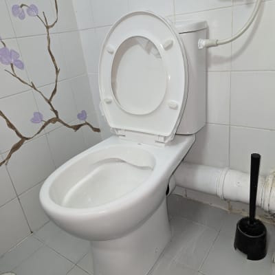 אסלה עם עיצוב פרחים על הקיר וצינור מים