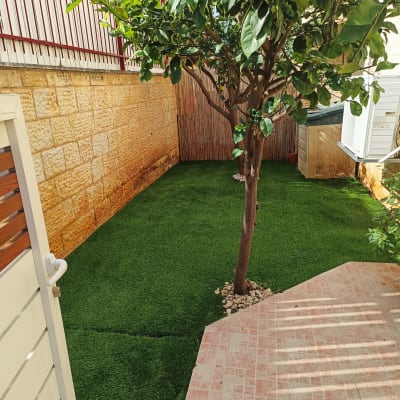 עץ עם ענפים ועלה ירוק בגינה קטנה