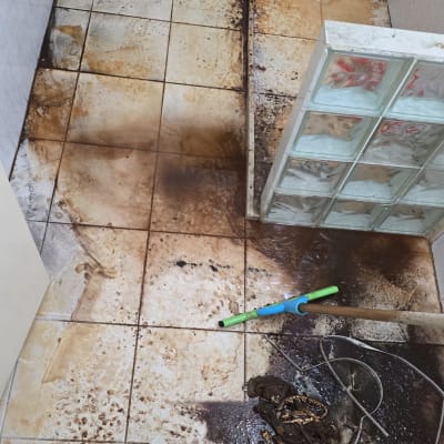 שירותים מלוכלכים עם מטאטא וניקוז סתום