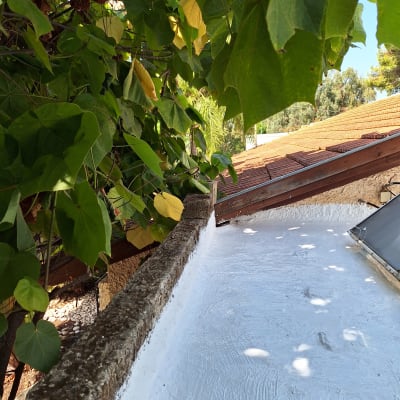 גג אטום בצבע לבן עם עלים מסביב