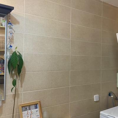 חדר כביסה עם מכונת כביסה, מדף עם כלים וחומרי ניקוי