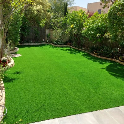 דשא ירוק מוקף עצים וצמחים בגינה