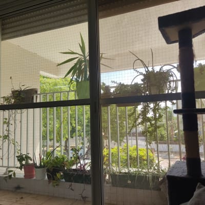 רשת על חלון למניעת כניסת יונים למרפסת