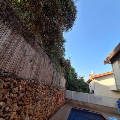 גדר במבוק עם צמחייה מטפסת על קיר אבן