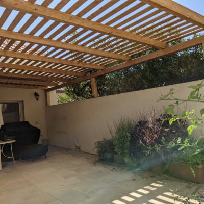 פרגולה מעץ בגינה עם צמחים מסביב