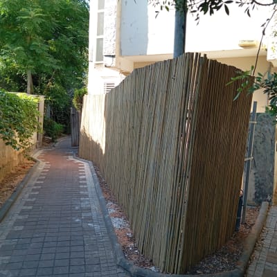 שביל מרוצף עם גדר במבוק וצמחייה ירוקה