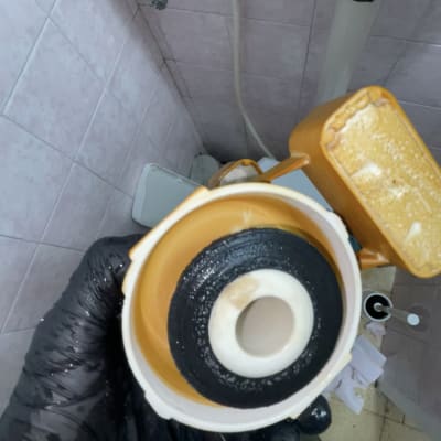 תמונה של חלקים פנימיים של אסלה בשירותים