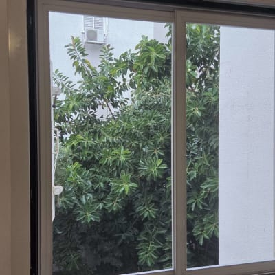 חלון אלומיניום עם נוף של עצים ירוקים בחוץ