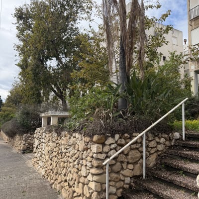 קיר אבן עם צמחייה ועצים מסביב