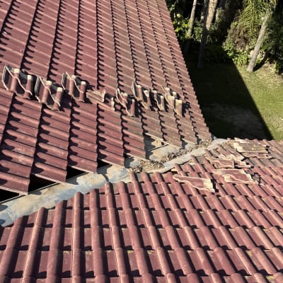 רעפים שבורים על גג רעפים אדום