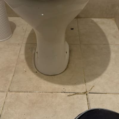 אסלה על רצפת קרמיקה עם לכלוך סביב