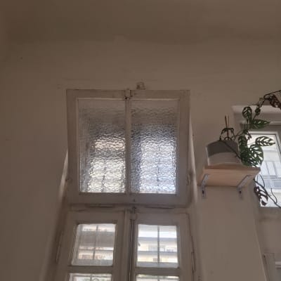 חלון זכוכית עם מדף וצמח לידו