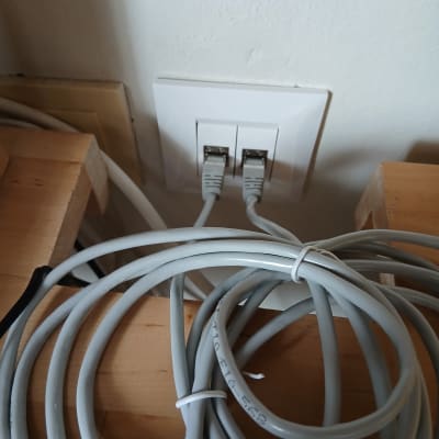 שני כבלי רשת מחוברים לשקע בקיר