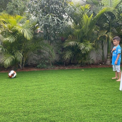 דשא סינתטי עם צמחים ירוקים מסביב