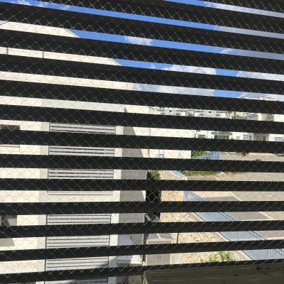 רשת מתכת על חלון למניעת כניסת יונים