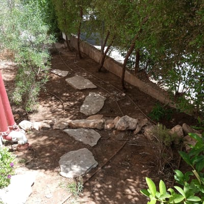 אבנים גדולות על אדמה עם צינורות השקיה ועצים