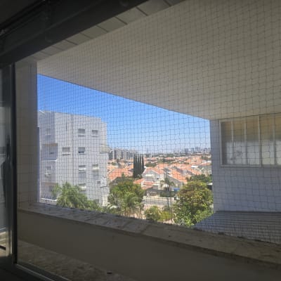 רשת יונים מותקנת על חלון עם נוף עירוני
