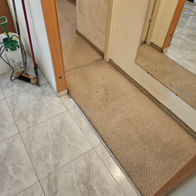 מגב, דלי ומטלית על רצפה ליד שטיח