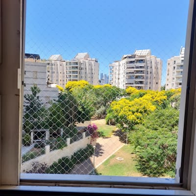 רשת יונים על חלון עם נוף לבניינים ועצים