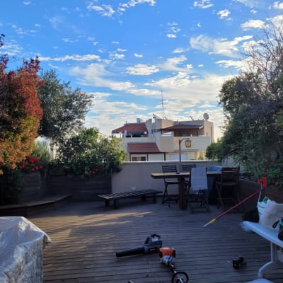 כלי גינון על דק עץ, כולל מפוח ועלים.