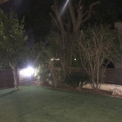 עצים ושיחים בגינה מוארת בלילה