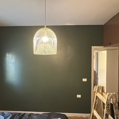 קיר צבוע בצבע ירוק כהה עם סולם וחלון