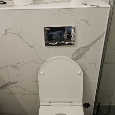 אסלה עם נייר טואלט ומברשת ניקוי