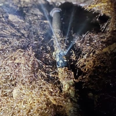 דליפת מים מצינור בקרקע עם צמחייה