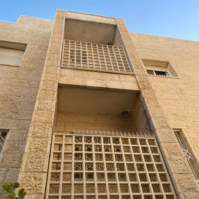 רשתות ומחסומים למניעת כניסת יונים בבניין