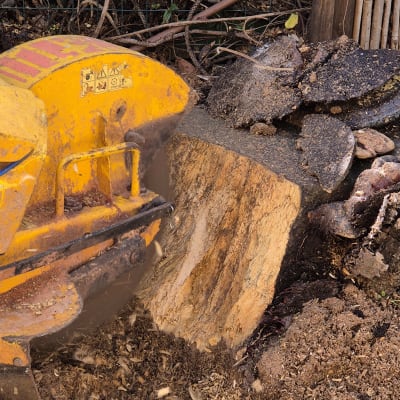 מכונת חיתוך עץ עם שבבים סביב