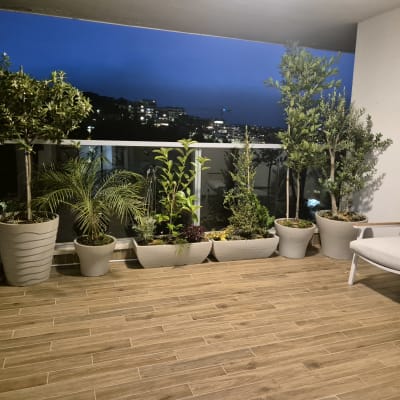 עציצים עם צמחים שונים במרפסת על רצפת עץ