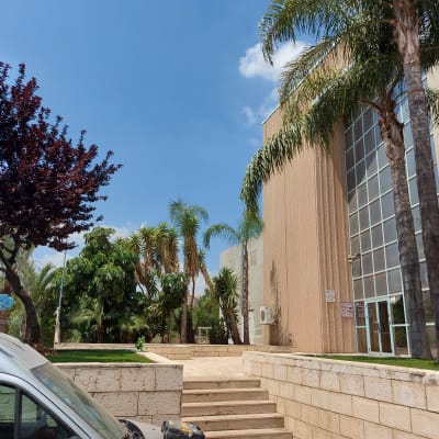 עצים ודשא ליד בניין עם מדרגות