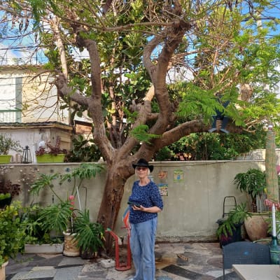 אישה עם כובע ליד עץ גדול בגינה