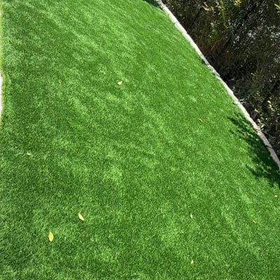 דשא ירוק מוקף בצמחייה ושיחים