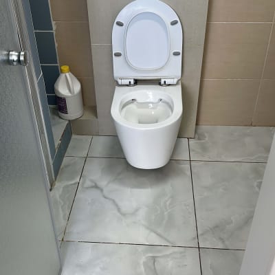 בקבוק חומר ניקוי ליד אסלה בחדר אמבטיה