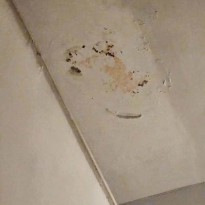 כתמי צבע וקילופים על תקרה לבנה