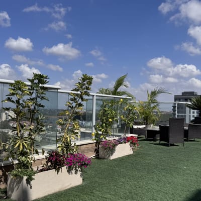 צמחים ועציצים על מרפסת עם דשא מלאכותי ונוף עירוני