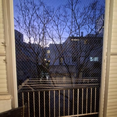 רשת הגנה על חלון עם נוף עצים ובניינים ברקע.