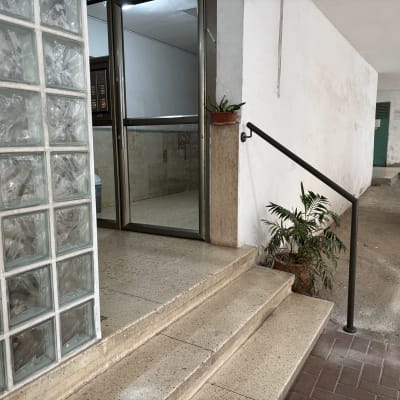 כניסה לבניין עם מדרגות, מעקה וצמחייה