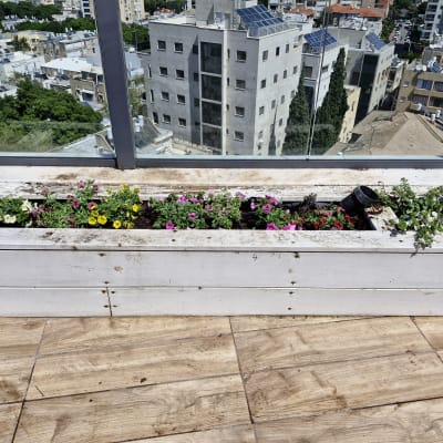 עציץ עץ עם פרחים צבעוניים על מרפסת