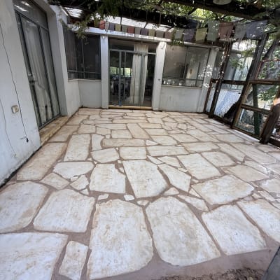 ריצוף אבן בחצר עם צמחייה מסביב