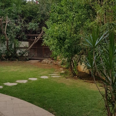 שביל אבן בגינה עם דשא ועצים ירוקים