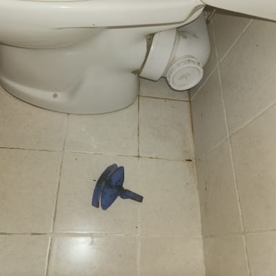 אסלה עם פומפה כחולה על הרצפה