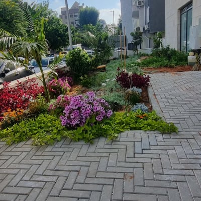 גינה עם פרחים צבעוניים ליד בניין מגורים