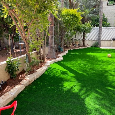 עצים ושתילים בגינה עם דשא סינתטי