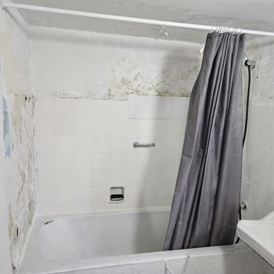 אמבטיה עם וילון מקלחת אפור וקיר מתקלף