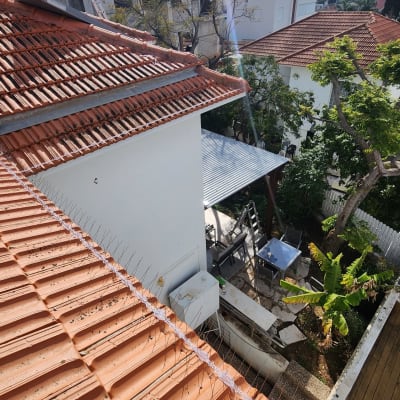 גג רעפים עם דוקרנים למניעת יונים