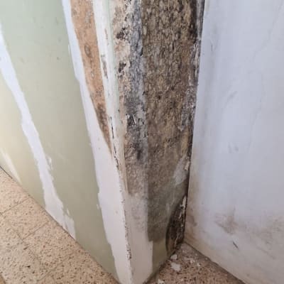 נזק רטיבות ועובש חמור על קיר פנימי בבית
