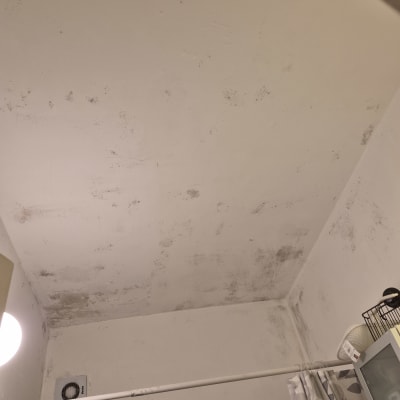 תקרה עם סימני עובש ורטיבות, זקוקה לצביעה